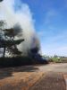 Bild-Nr. 4229 Brand